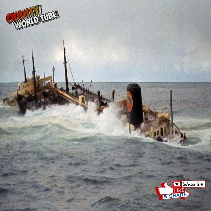The Torrey Canyon Disaster: Notable Facts Regarding the Largest Oil Spill - Image 1