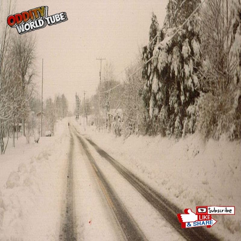 The 1993 Superstorm: A Nation Crippled by Severe Winter Weather - Image 1