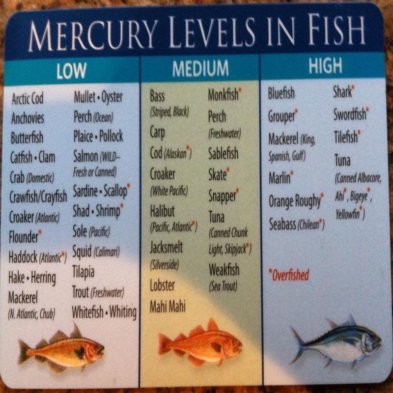 The Subterranean Effects of Mercury Contamination on California's Wildlife - Image 2