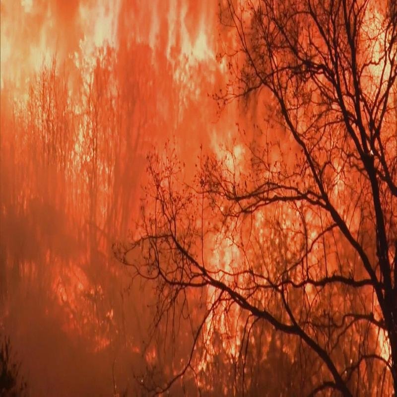 The 2018 California Wildfires: Unanticipated Causative Factors - Image 1