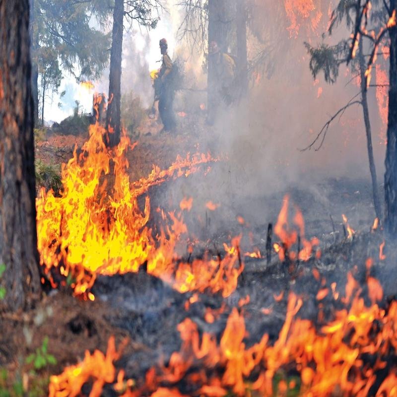 The Warestock Fire: A Case Study in Canadian Industrial Disaster - Image 1