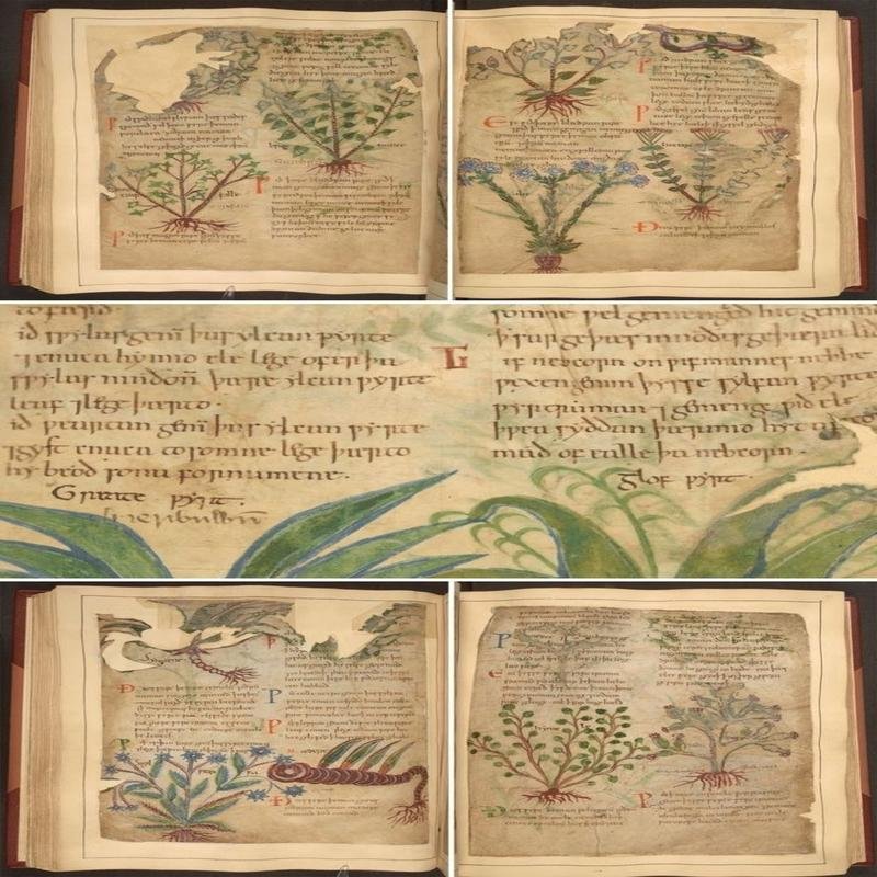 Shamanic Texts: Exploring the Secrets of Ancient Healing - Image 1