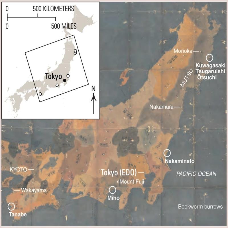 The North American Sushi Supply Chain: Vulnerability Exposed Following the Japanese Tsunami - Image 2