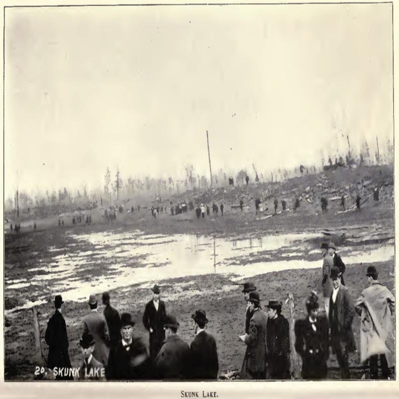 The 1894 Minnesota Fire: Investigating the Unresolved Mysteries of the Extensive Forest Fire. - Image 2