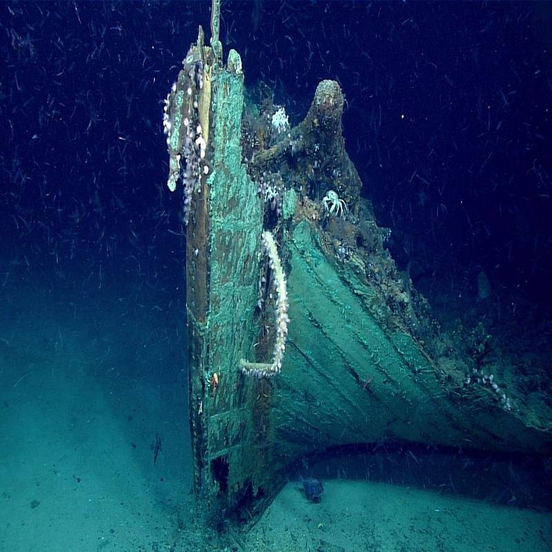 The 1904 Mexican Maritime Disaster: A Re-examination of the Gulf of Mexico Sinking - Image 2
