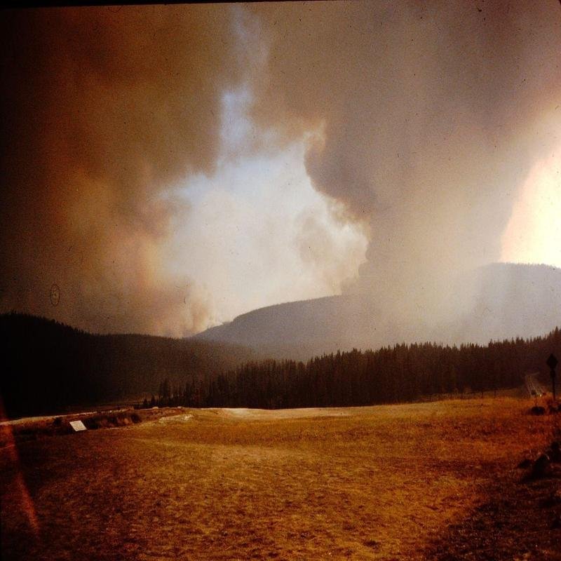 The 1988 Yellowstone Fires: Notable Aspects and Contributing Factors. - Image 2