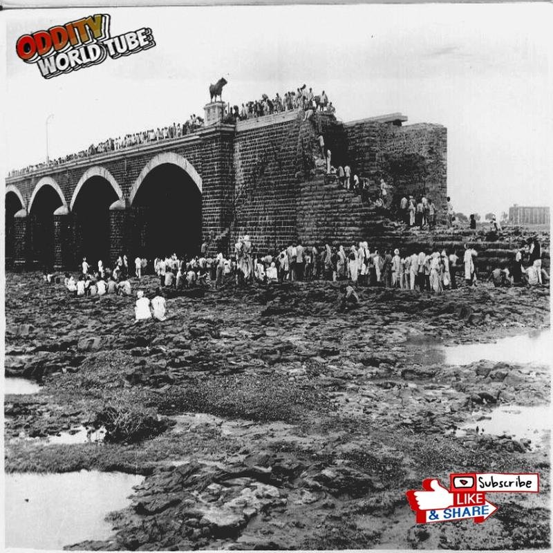 The Collapse of the Tenu Dam: A Catastrophic Flood in India. - Image 2