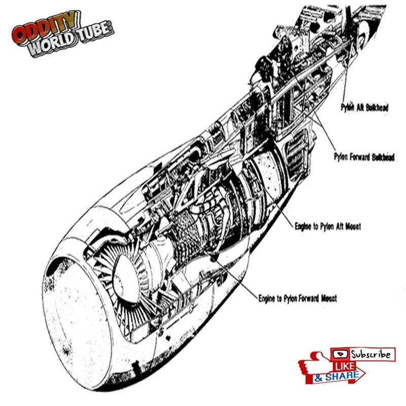 The Flight 191 Disaster: An Analysis of Underlying Causes and Subsequent Safety Improvements - Image 2