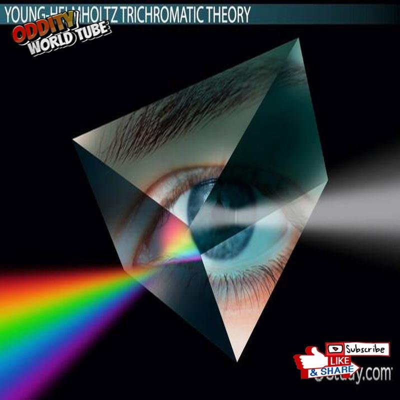 The Enigma of Color: Astonishing Facts and Insights. - Image 2