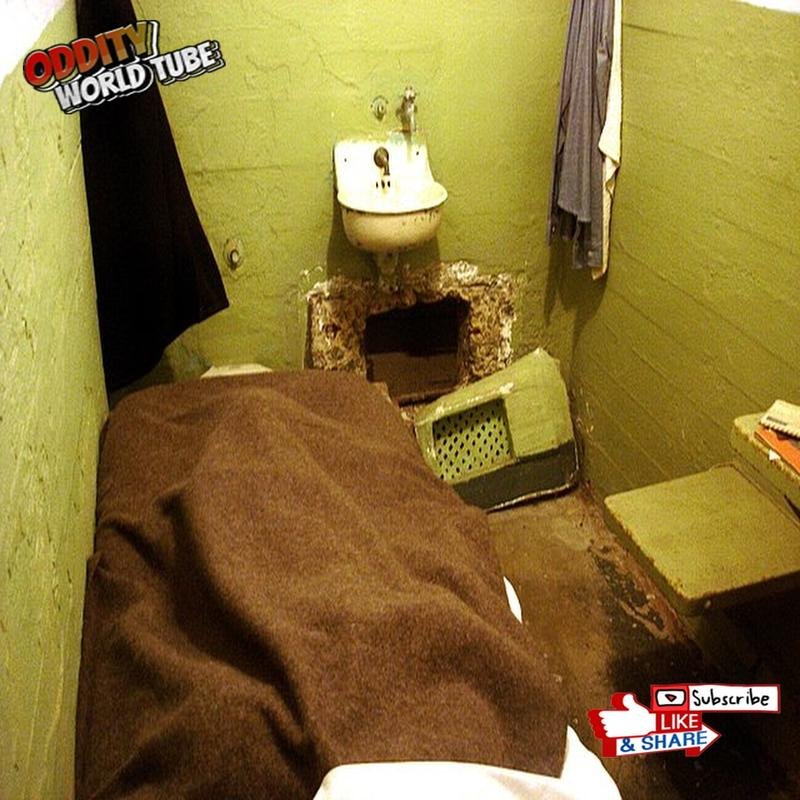 Alcatraz: Unveiling the Truth Behind the Alleged Escape - Image 2