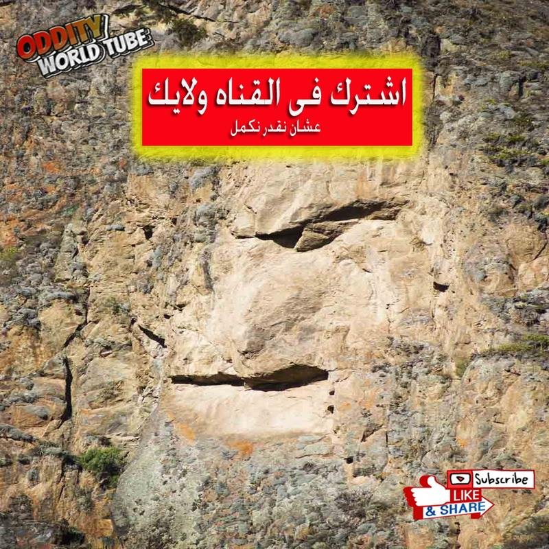 Andean Secrets: Petroglyphs Uncover Remarkable Discoveries - Image 2