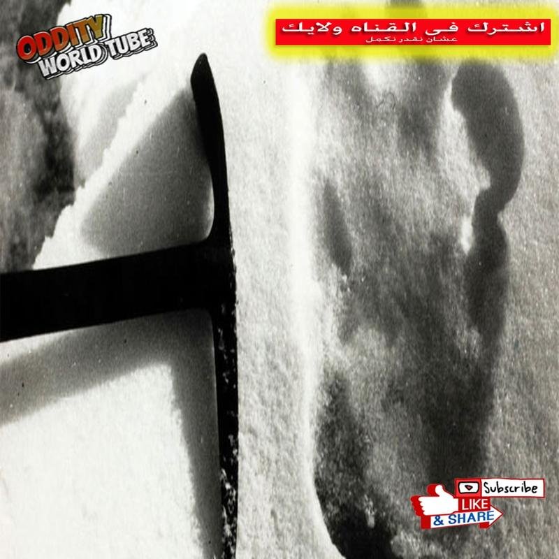 Resolution of the Himalayan "Abominable Snowman" Enigma: Evidence for Yeti Existence. - Image 2