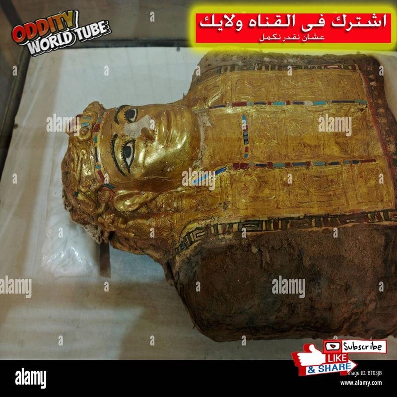 The Golden Mummy: Unveiling the Secrets of a Lost Civilization - Image 2