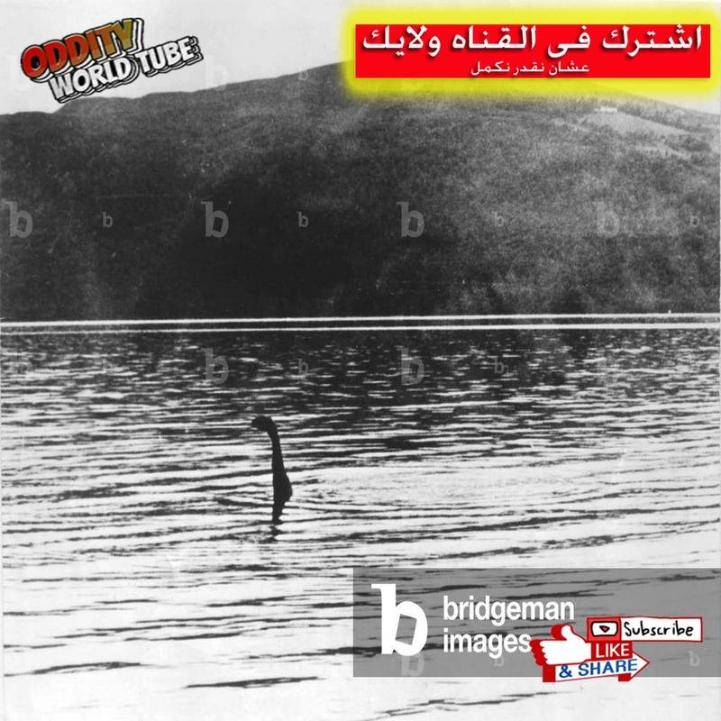 Unveiling the Mystery of the Loch Ness Monster: Astonishing Facts - Image 2