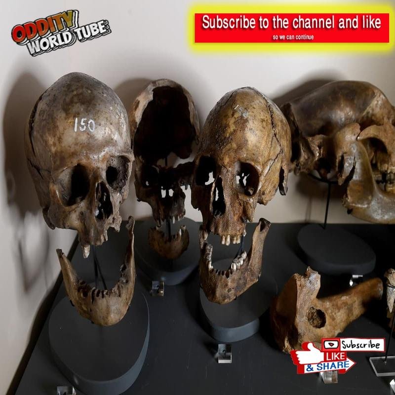Hypogeal Burial Sites: Illuminating Obscure Historical Records - Image 3