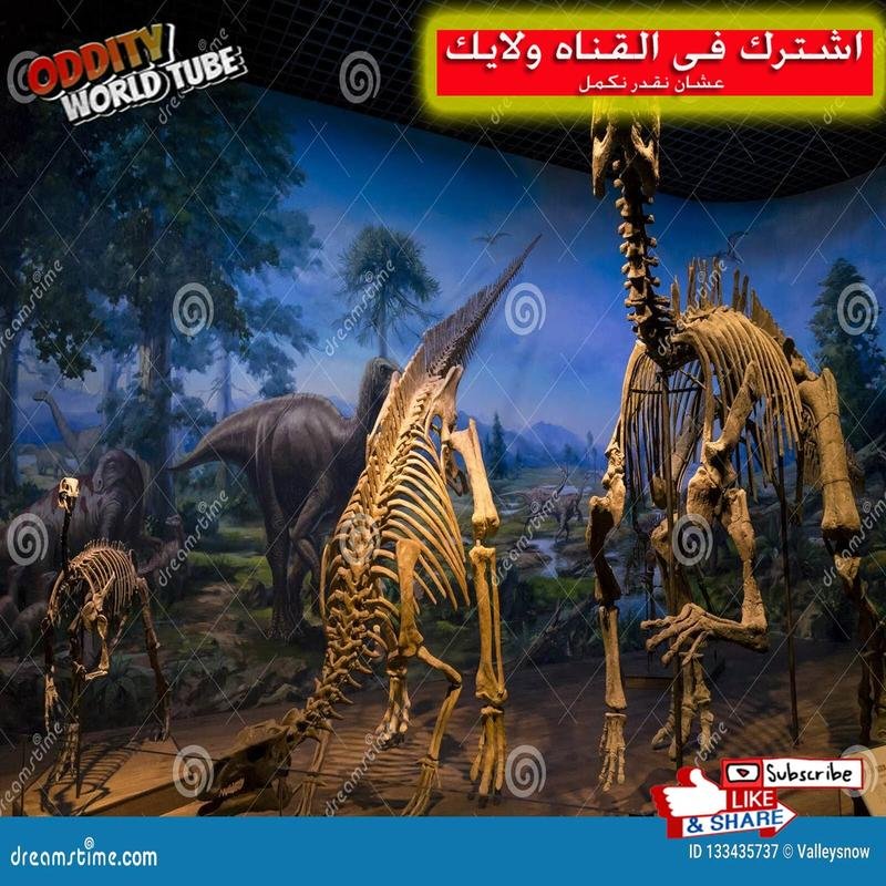 Paleontological Discoveries: Unraveling Ancient History Through Fossil Remains - Image 2