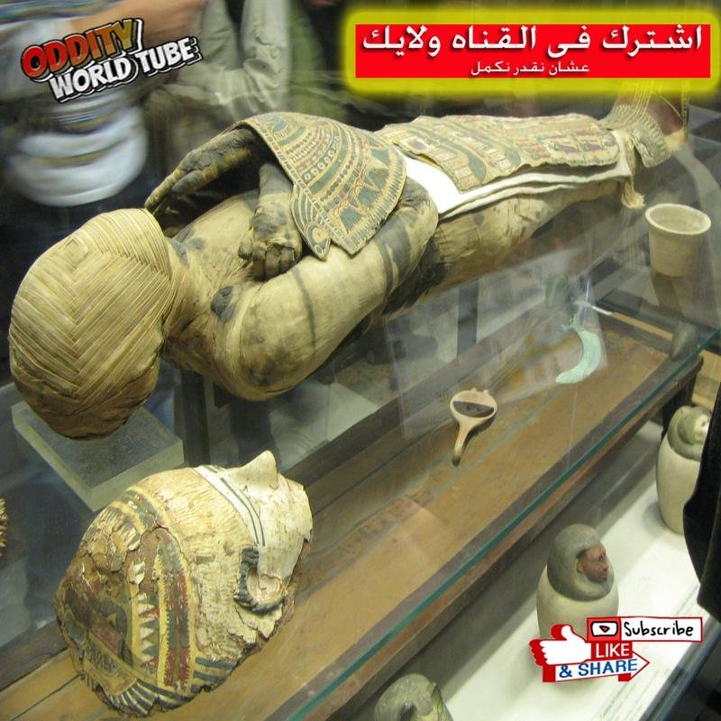 Recent Archaeological Discoveries in Egypt Yield Unexpected Results - Image 2