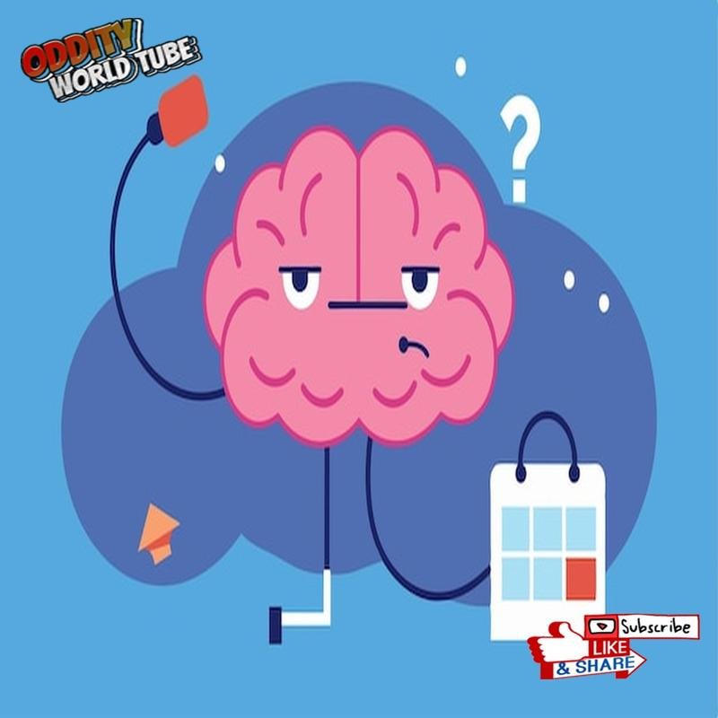 Skill Acquisition from a Neuroscientific Perspective - Image 3