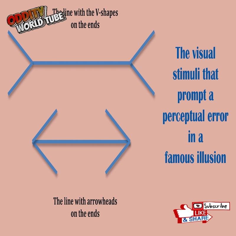 This image is an optical illusion; it is not a true representation of reality. The perceived image is a product of visual perceptual processes. - Image 3