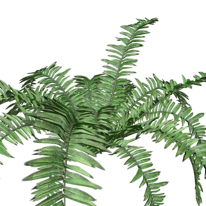 Do Plants Feel Pain? 🤯 Shocking Facts Revealed! 📜 - Image 2