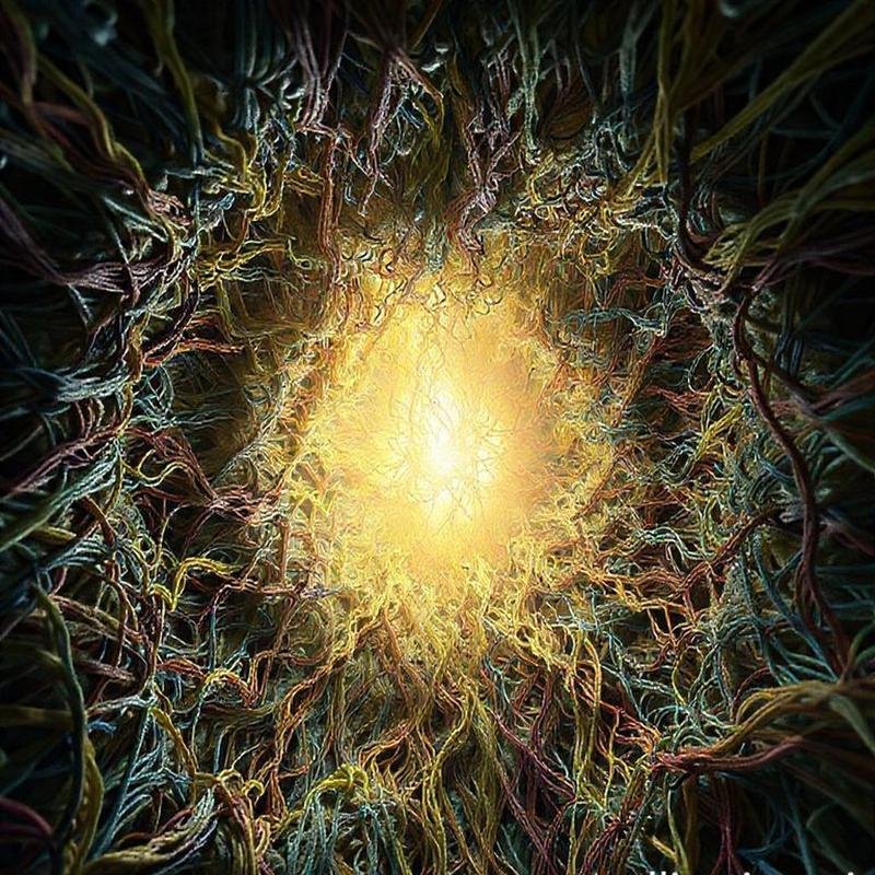 Godwin's Law: Does the Invocation of Hitler End Meaningful Discourse? - Image 1